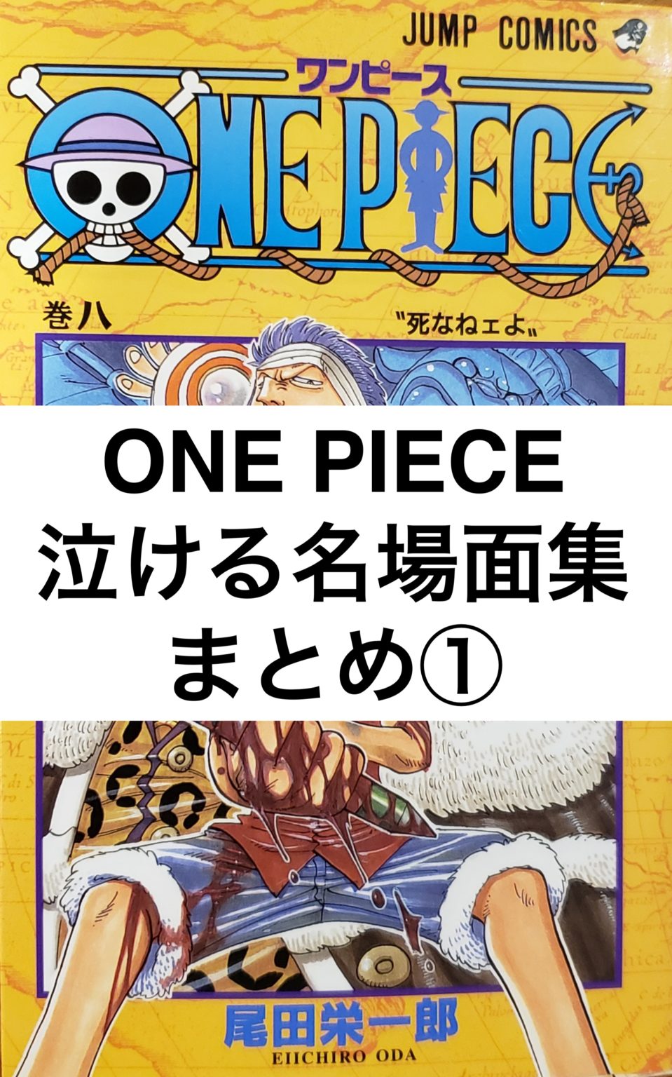 One Piece を読む事を辞めた人向け 誰でもまた読みたくなる泣ける話 感動名場面集 いのさんの仕事術と学び